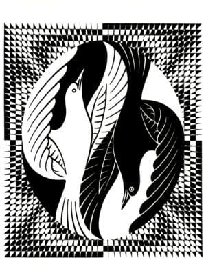 Dove Above Crow Below